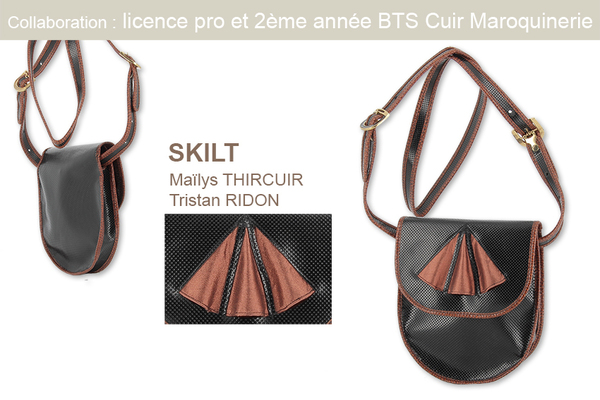 collab licence pro et TS2CUIR 2 copie