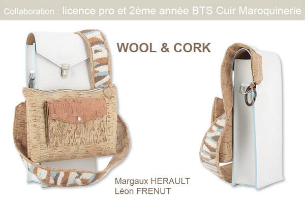 collab licence pro et TS2CUIR copie