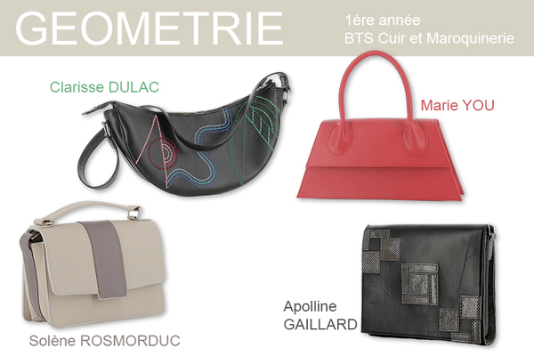 géométrie TS1 cuir copie